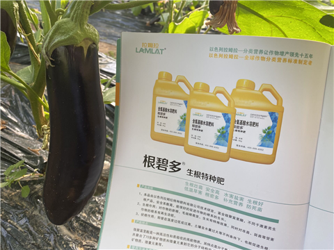 水溶肥，拉姆拉，翠姆