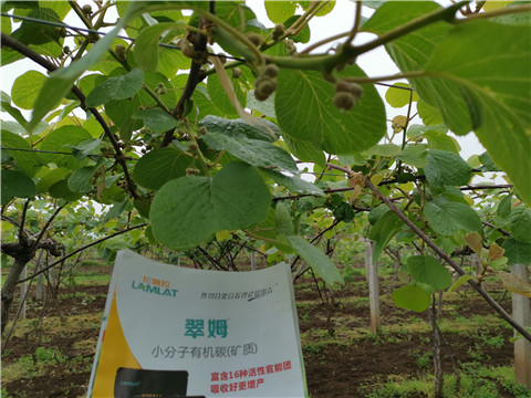 小分子有機碳，拉姆拉，翠姆