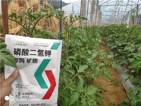 磷酸二氫鉀，拉姆拉，翠姆