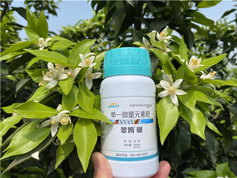 葉面肥，拉姆拉，翠姆
