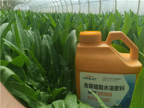 沖施肥，拉姆拉，翠姆