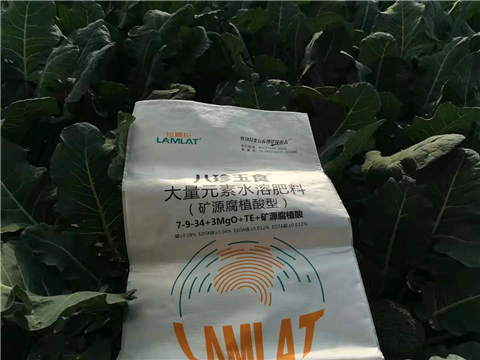 大量元素水溶肥，拉姆拉，翠姆