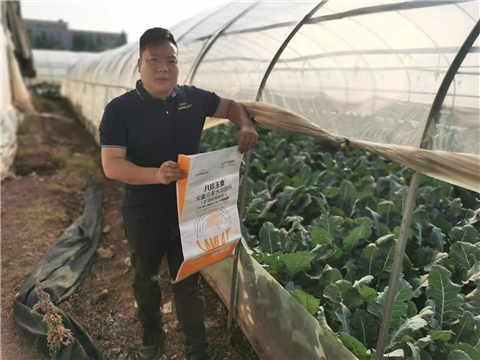 大量元素水溶肥，拉姆拉，翠姆