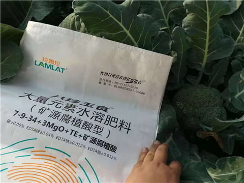 大量元素水溶肥，拉姆拉，翠姆
