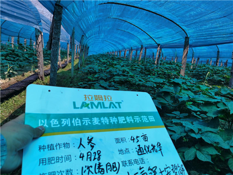 水溶肥，拉姆拉，翠姆