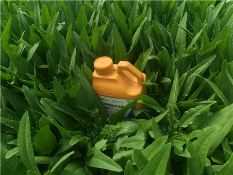 水溶肥，翠姆，拉姆拉