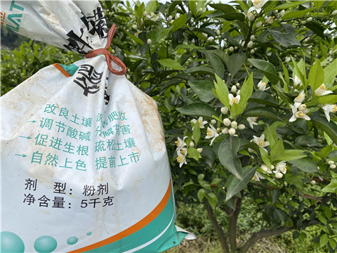 水溶肥，翠姆，拉姆拉