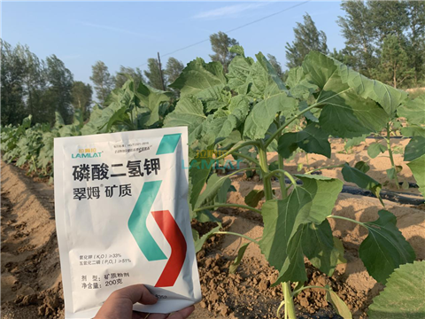 水溶肥，翠姆，拉姆拉