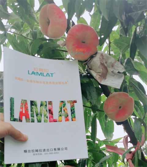水溶肥，翠姆，拉姆拉