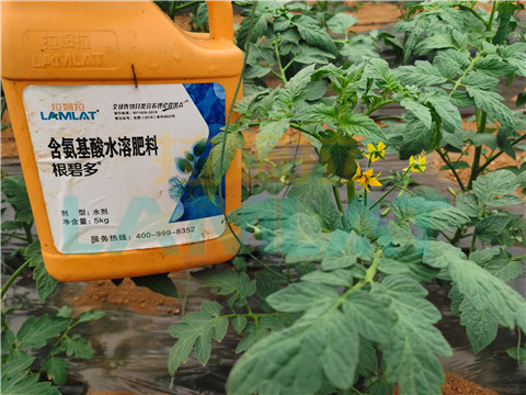 水溶肥，翠姆，拉姆拉