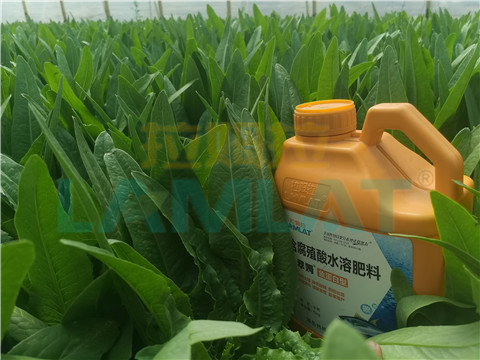 水溶肥，翠姆，拉姆拉