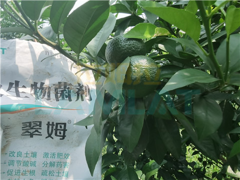 微生物菌劑，翠姆，拉姆拉