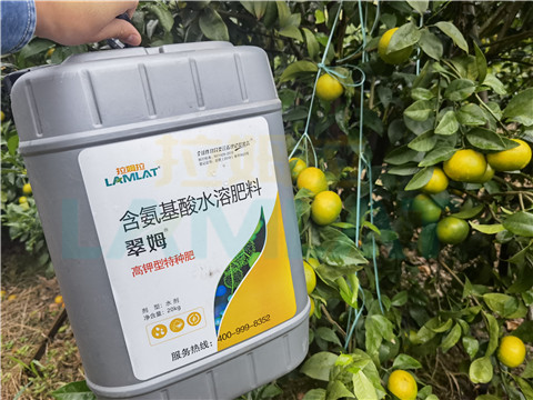 水溶肥，拉姆拉，翠姆
