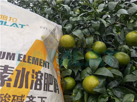 水溶肥，拉姆拉，翠姆