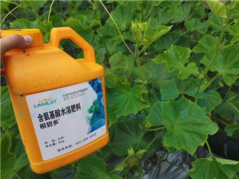 水溶肥，拉姆拉，翠姆