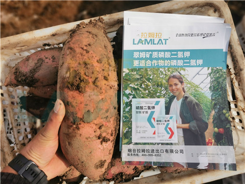 水溶肥，拉姆拉，翠姆