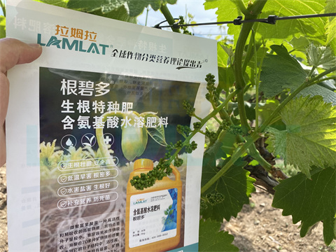 水溶肥，拉姆拉，翠姆