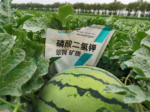 水溶肥，拉姆拉，翠姆