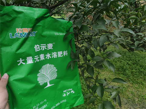 水溶肥,伯示麥,柑橘種植 水溶肥,伯示麥,柑橘種植