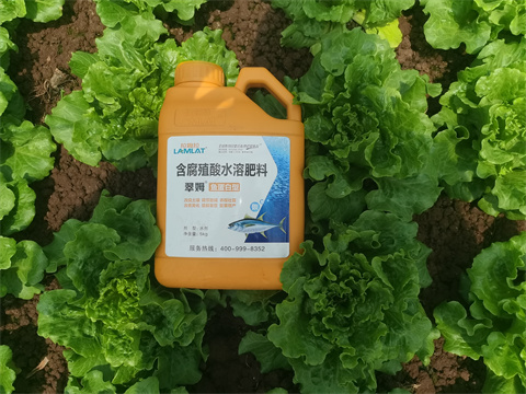 水溶肥,翠姆，蔬菜水溶肥