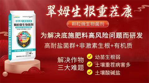 水溶肥廠(chǎng)家,拉姆拉特種肥,翠姆水溶肥